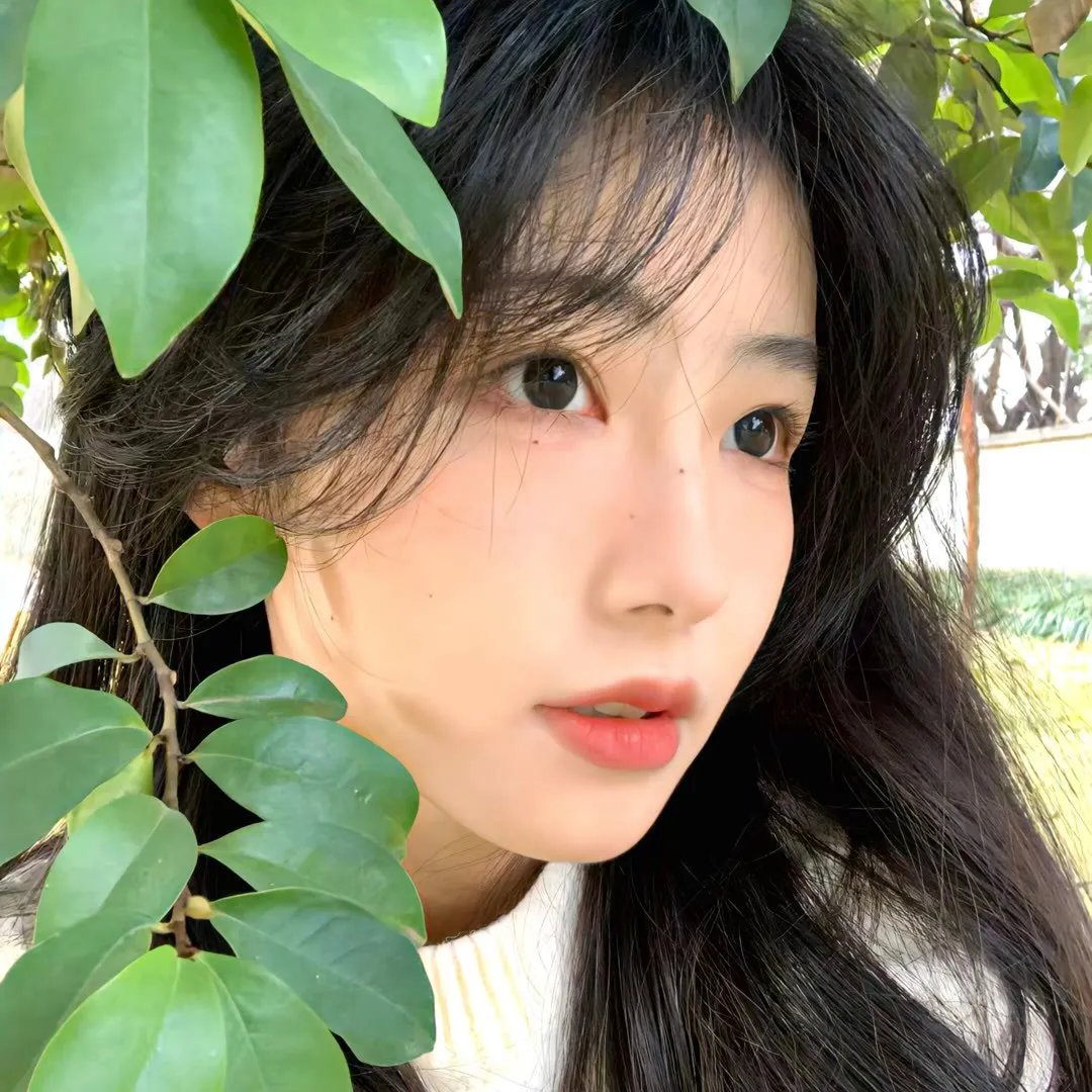 二十四只眼睛
