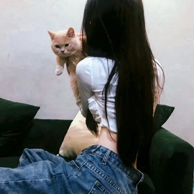 阿衰第六季